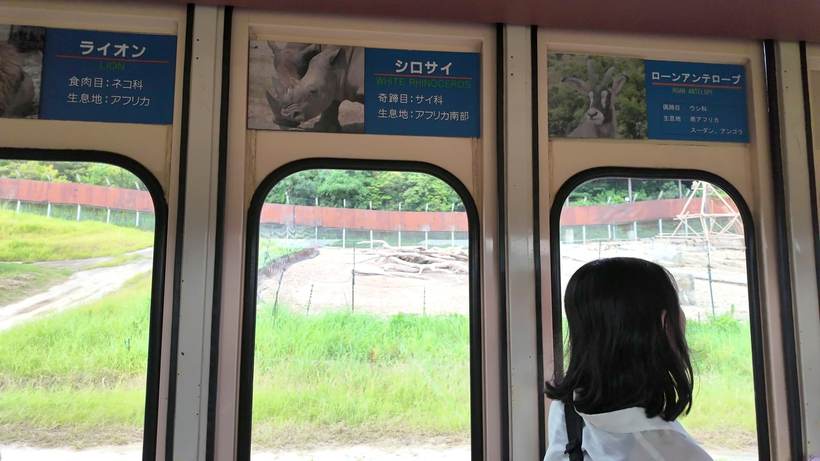 ケニア号の車窓から見るサファリワールド