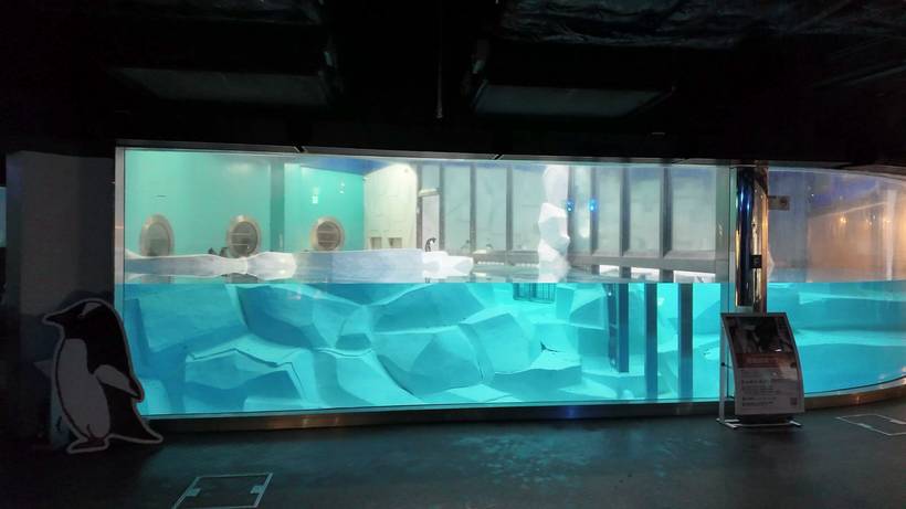 アドベンチャーワールド 海獣館のペンギンプール
